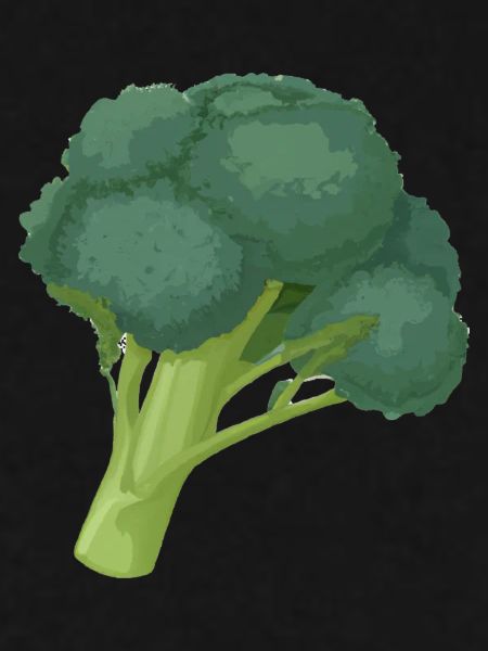 Broccoli