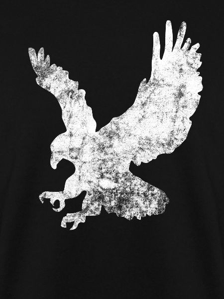 Greifvogel Vogel beobachten