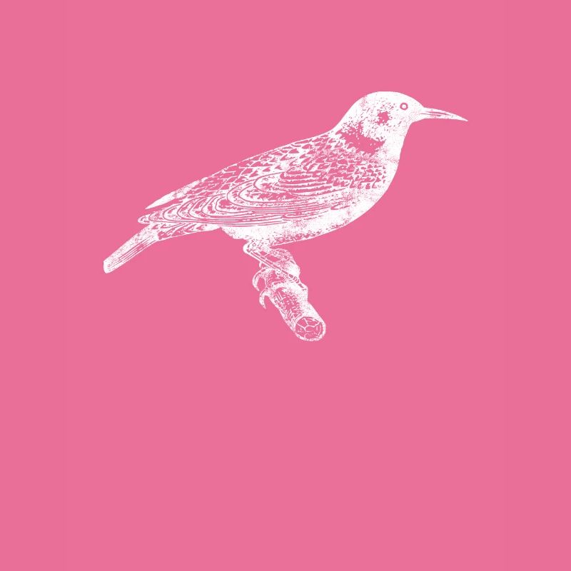 Vogel