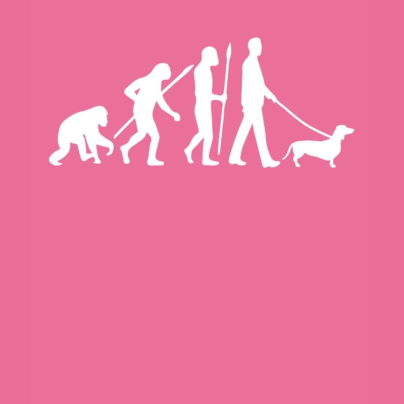 Teckel Evolution