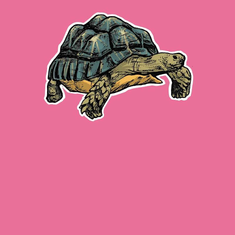 Schildkröte
