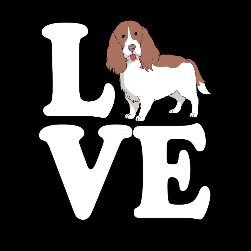 Springer Spaniel Hund