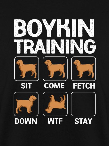 Boykin Spaniel