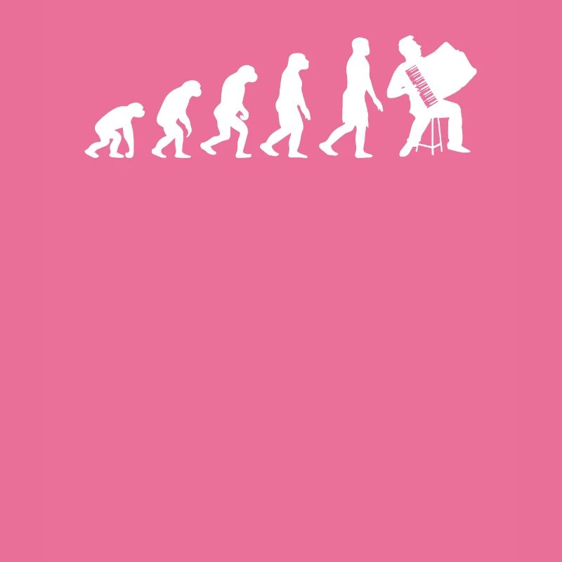 Akkordeon Evolution