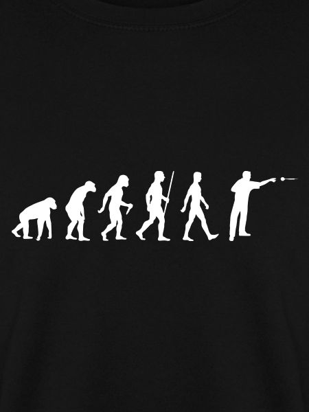 Darts Evolution Dart