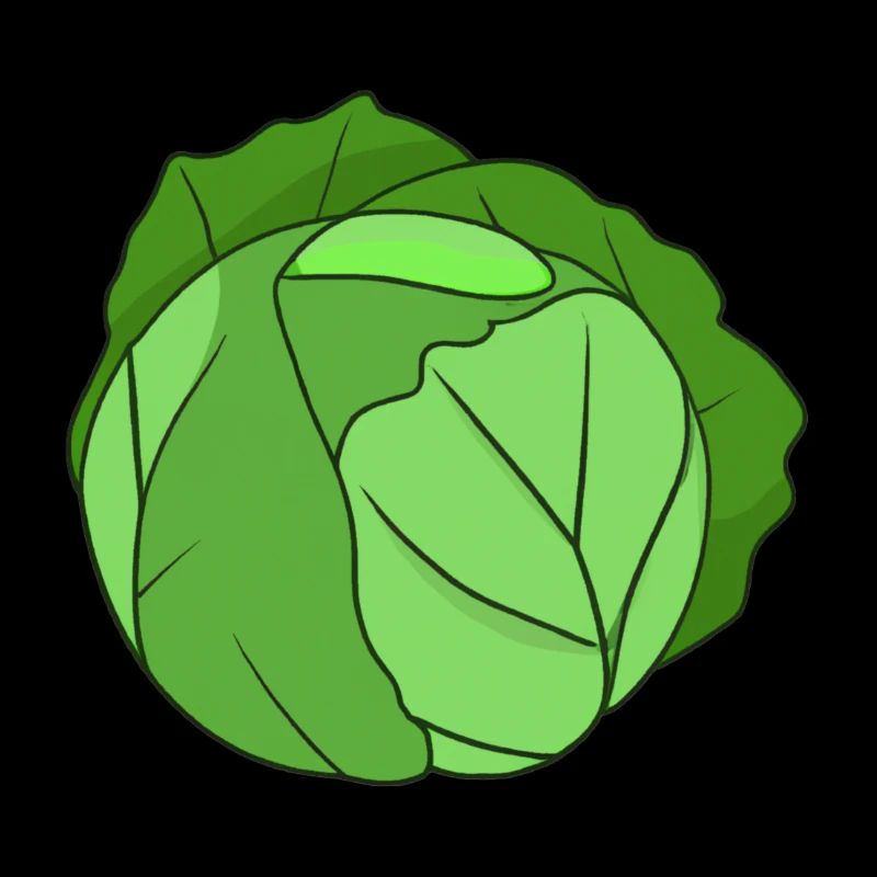 Cabbage