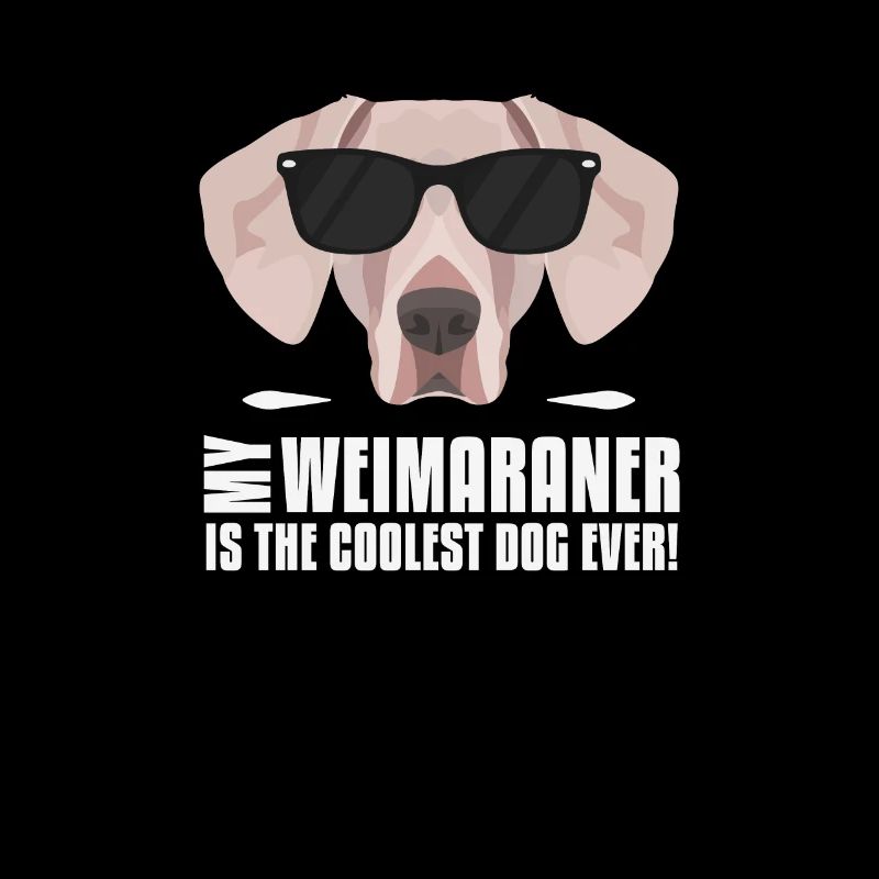 Mon Weimaraner est le plus cool