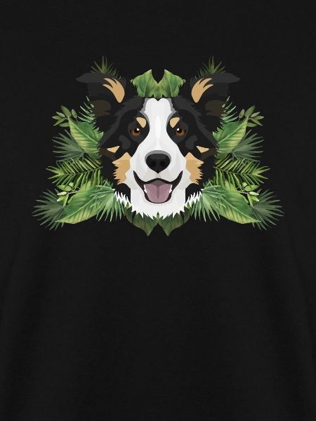 Tropical Border Collie