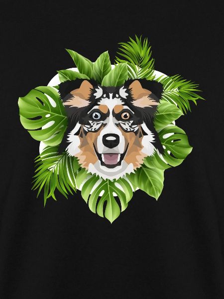 Tropical Australian Shepherd