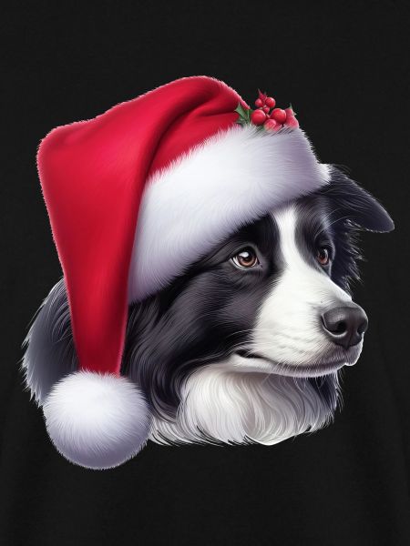 Border Collie Weihnachtsmann