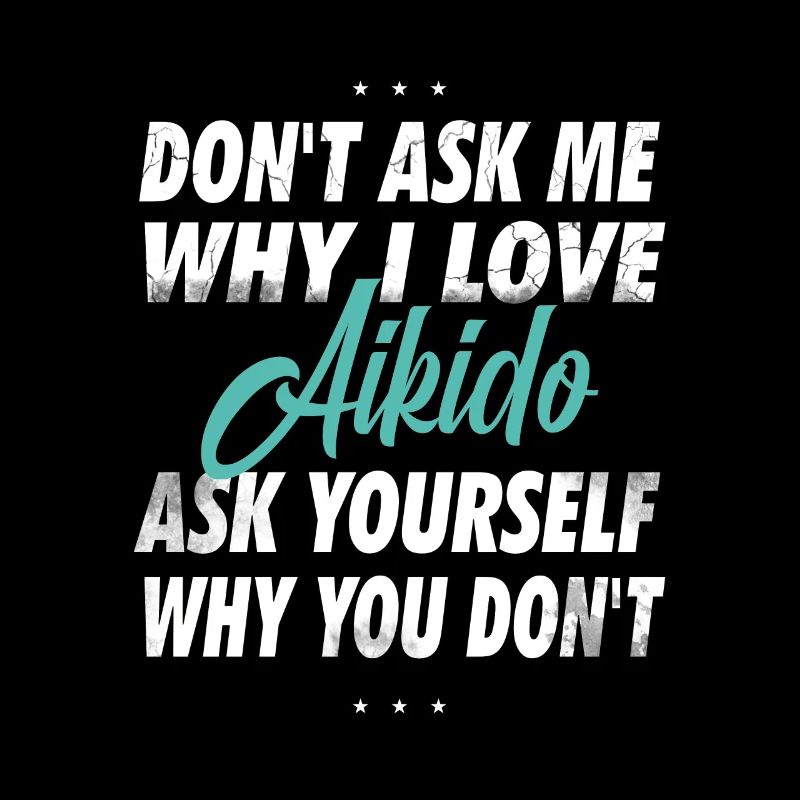 Don't ask me why I love Aikido