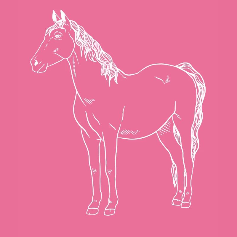 Chevaux : majesté et grâce combinées