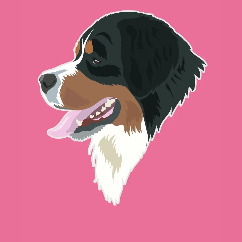 Berner Sennenhund-Eleganz