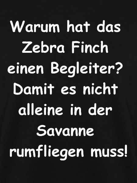 Zebra Finch Geschenk