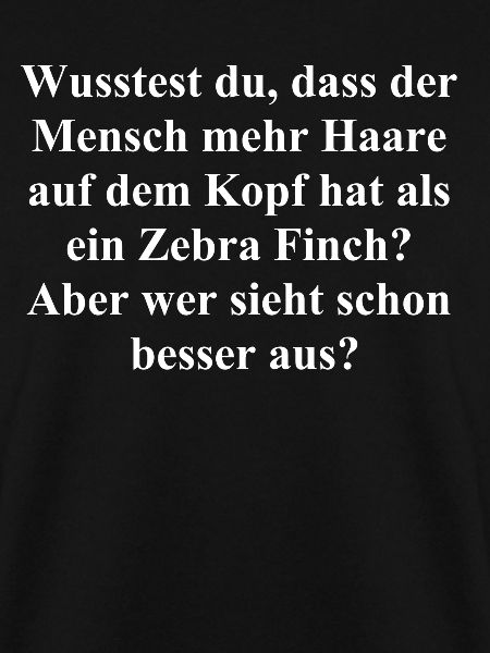 Haariger Spaß Geschenk