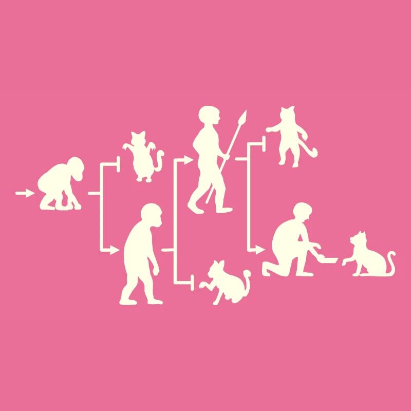 Cat Man a dirigé l’évolution