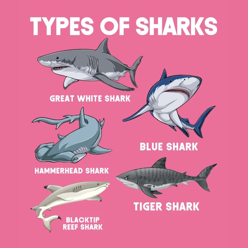 Types de requins