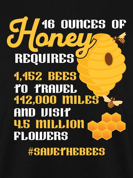 Bienenzucht: Save the Bees