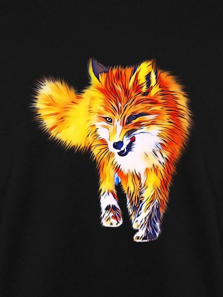 Renard