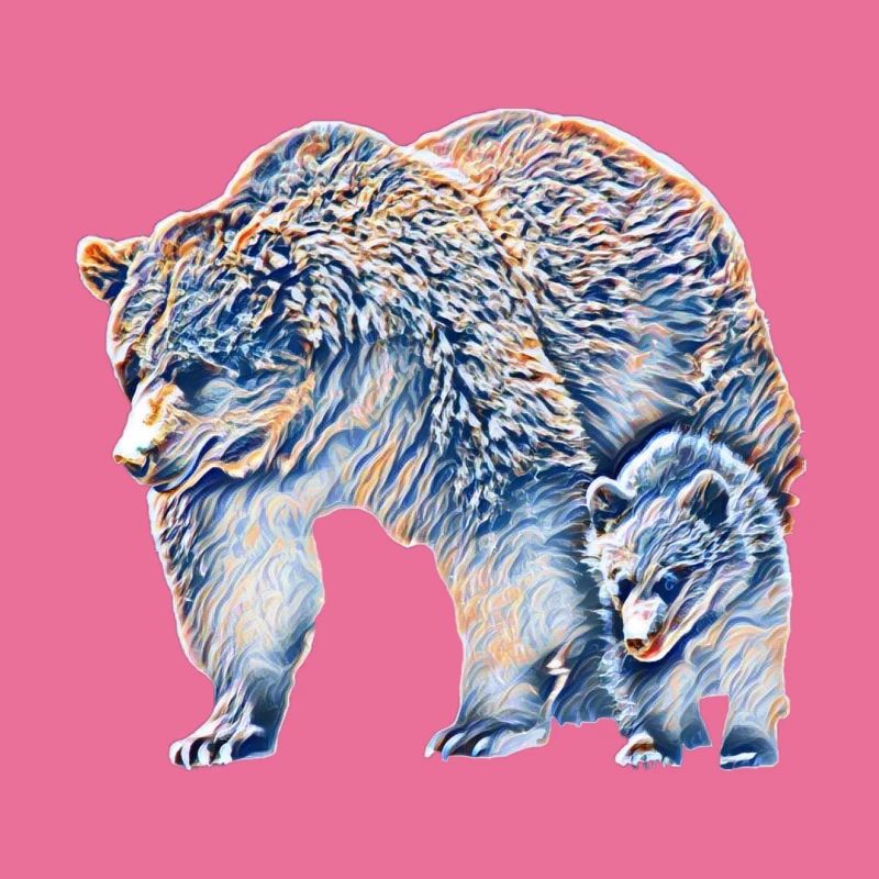 Bär