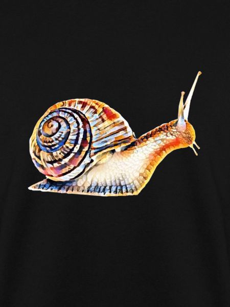 Schnecke