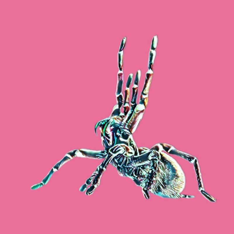 Vogelspinne