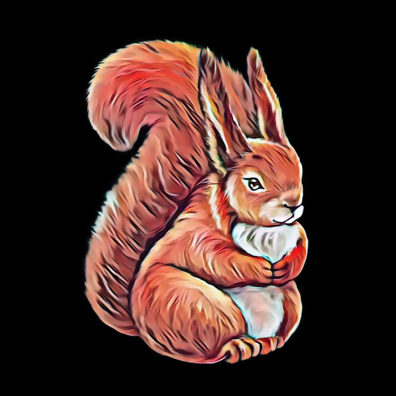 squirrel