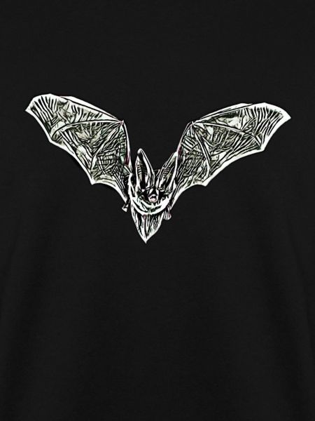 Fledermaus