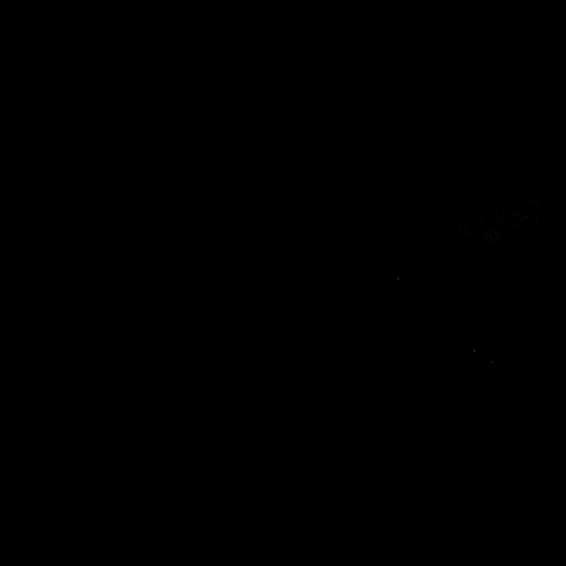 Evolution krav maga combat sport