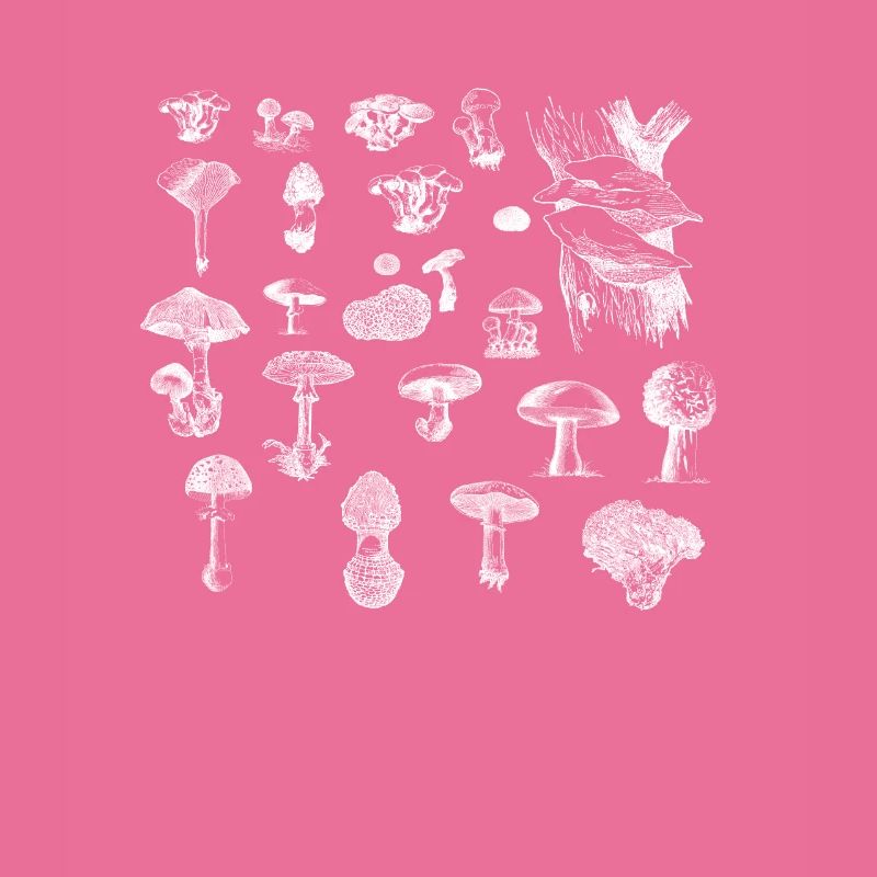 Pilz-Sammlung