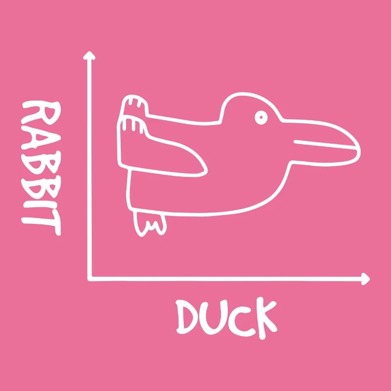 Graphismes Hasse Ente Illusion Illusion De Maths