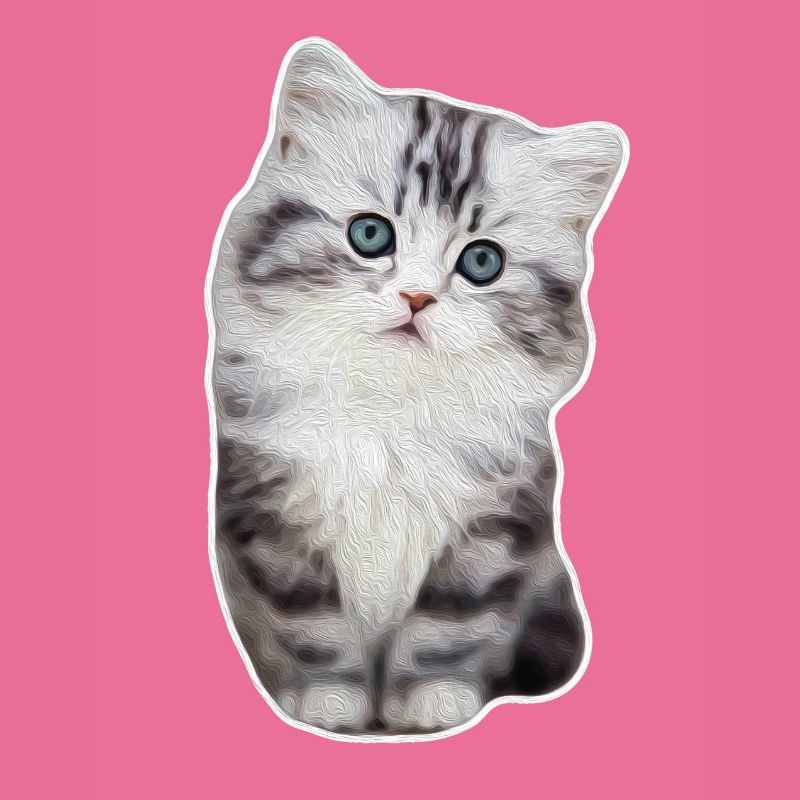 Chat de patte de velours mignon kitty kitty
