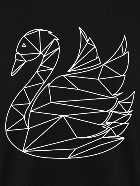 cygne