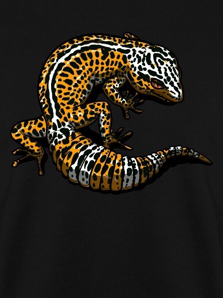 Leopard Gecko Lizard Reptile