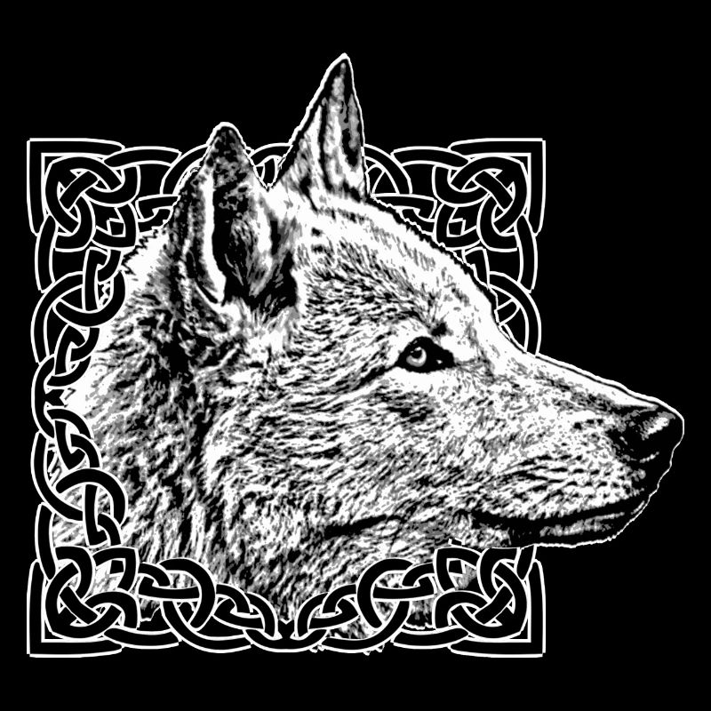 Gris loup