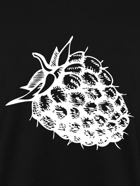 Raspberry fruit healthy healthy