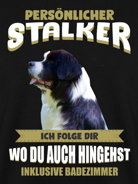 Landseer - Landseer Hund