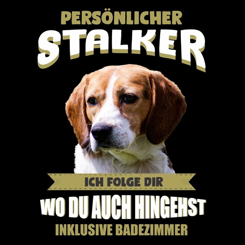 Beagle Hund - Beagle