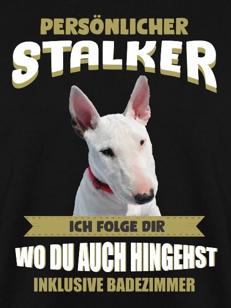 Bullterrier Hund - Bullterrier