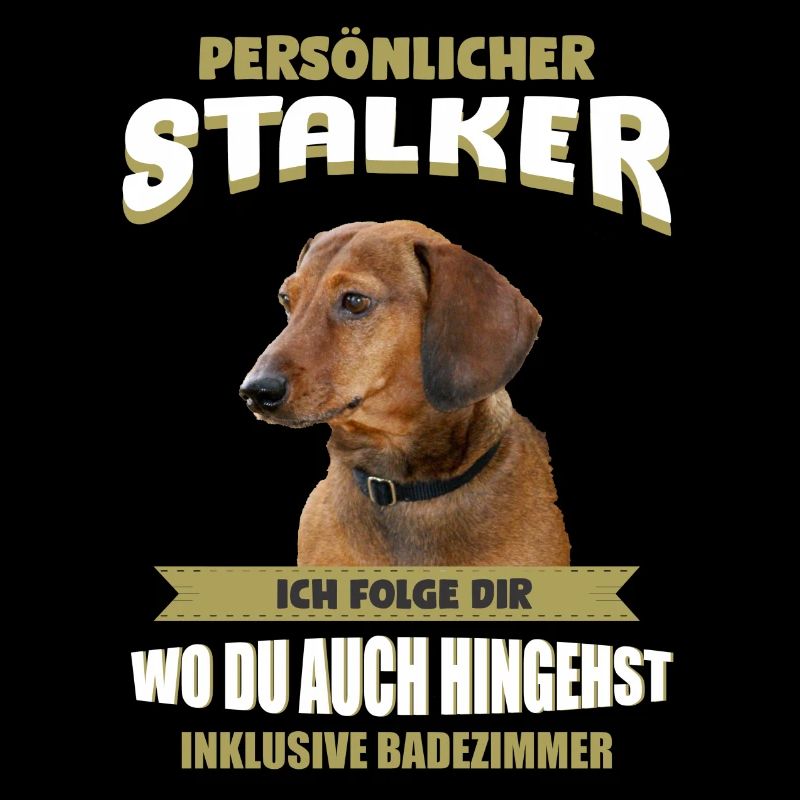 Dackel Hund - Dackel