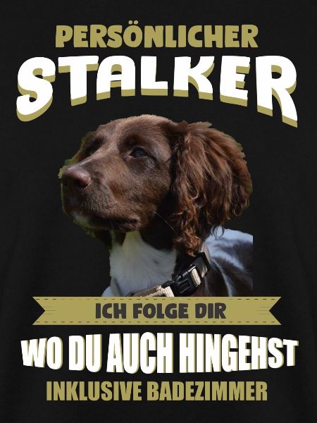 Münsterlander - Kleiner Münsterlander