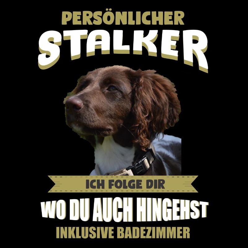 Münsterlander - Kleiner Münsterlander