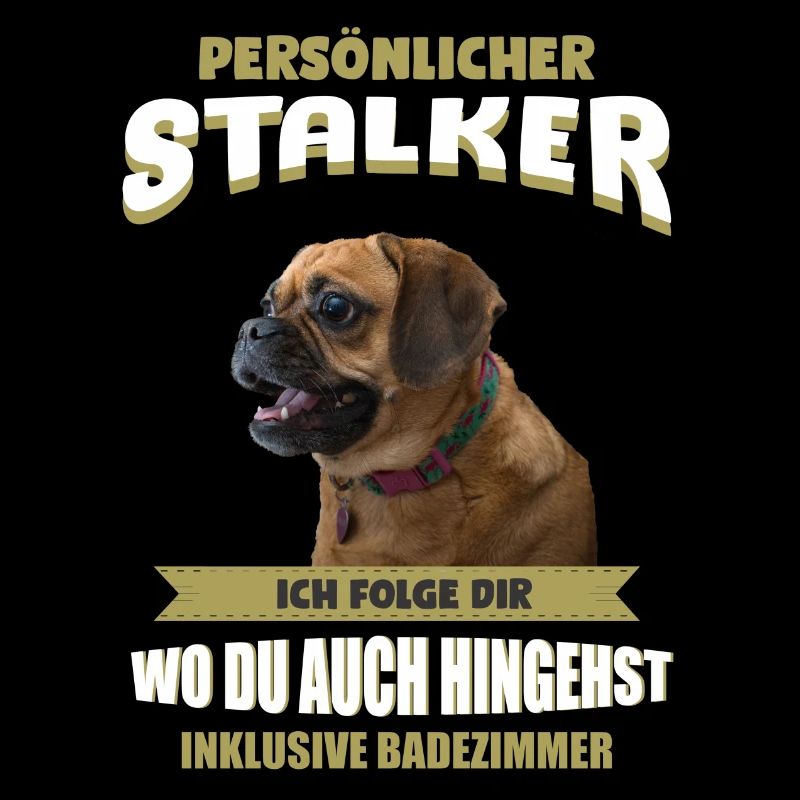 Puggle Hund - Puggle