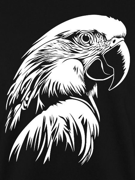 Parrot