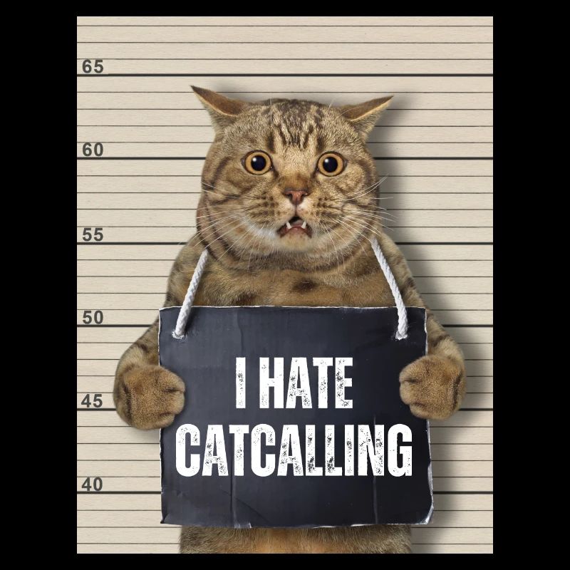 Ich hasse Catcalling