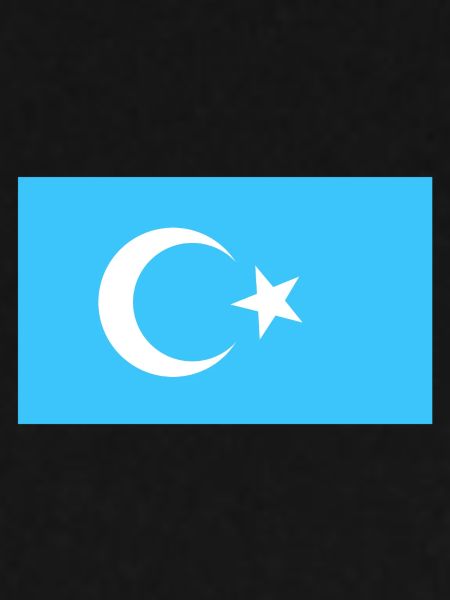 Uiguren Flagge