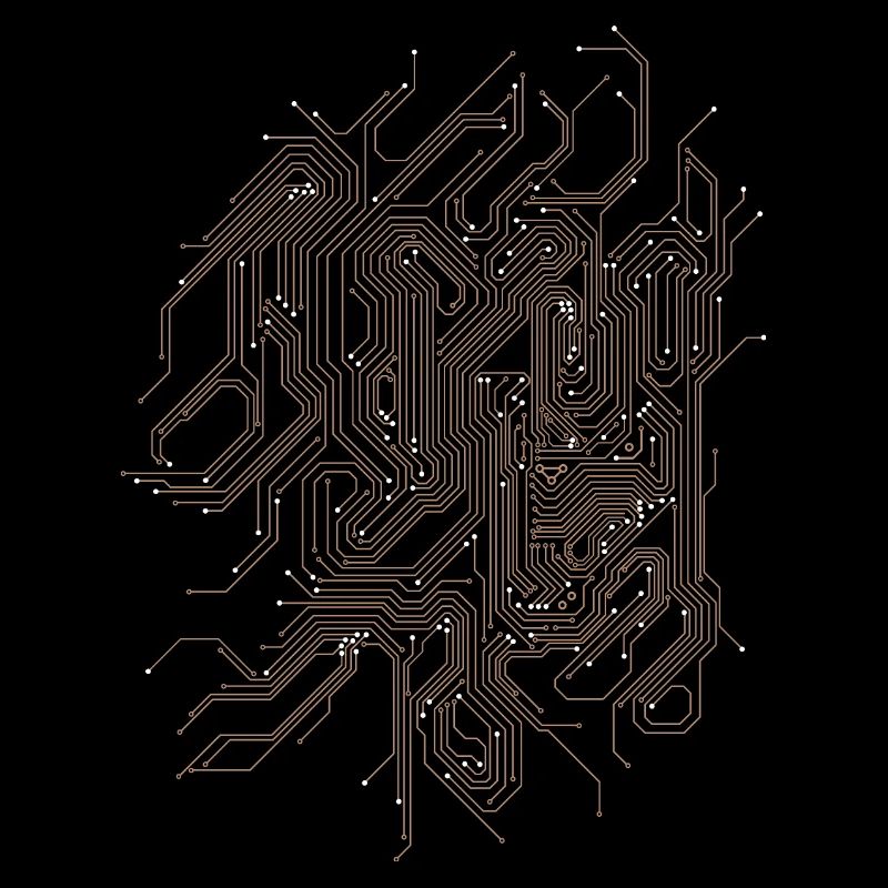 Schaltkreis Platine