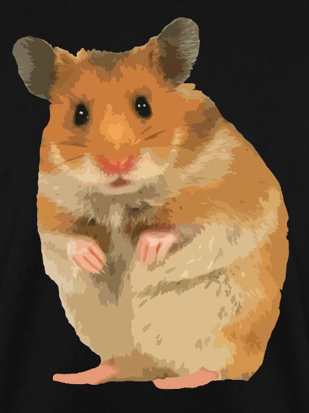 Hamster