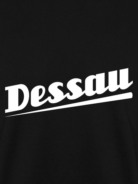 Dessau - Textdesign mit Stadtnamen