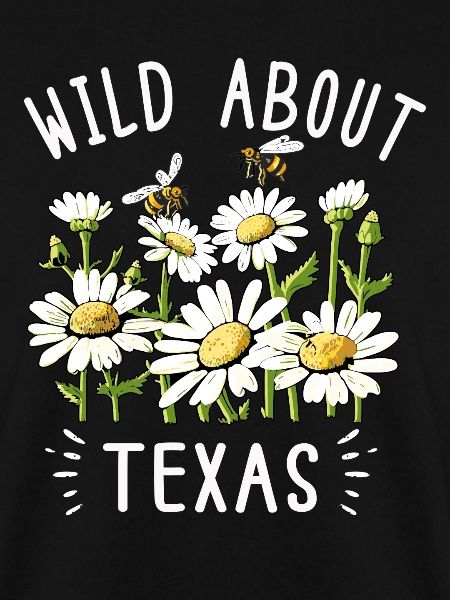 Wildflower Fields Wildflowers Bluebonnet
